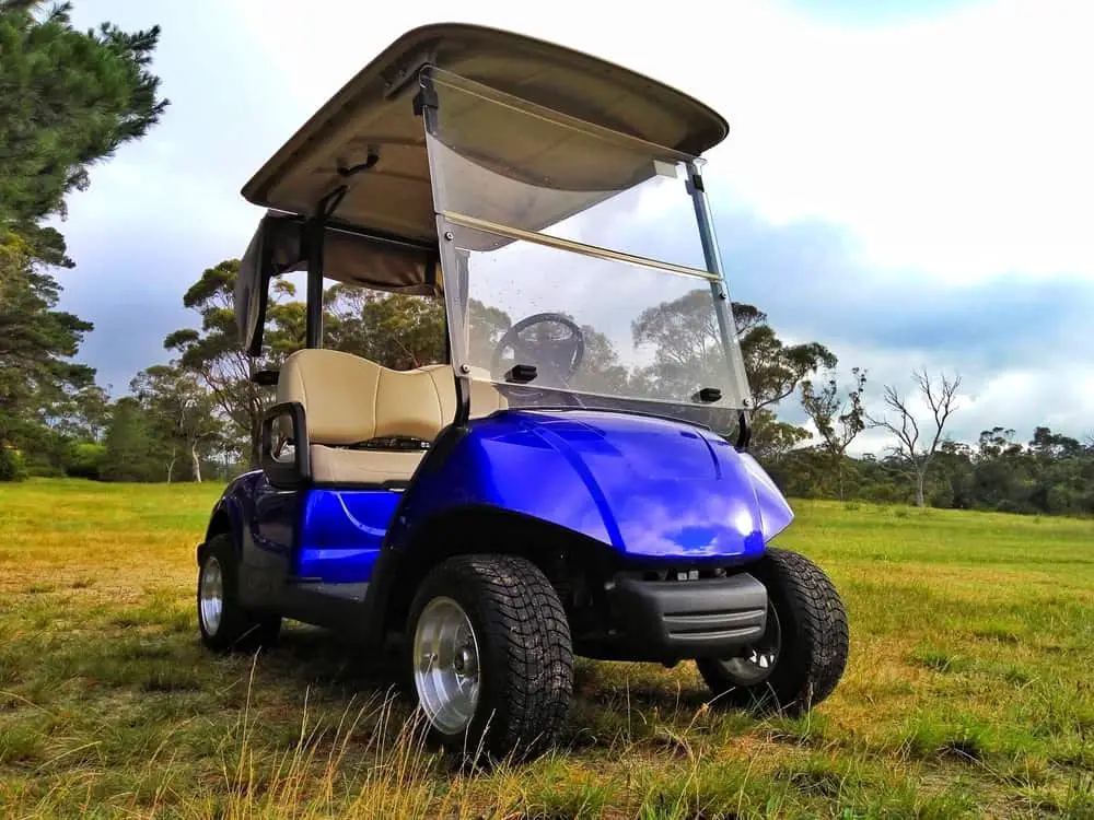 how-do-i-reset-my-electric-golf-cart-motor-golf-arenzano